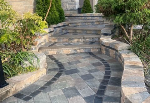 WhatsApp Image 2025-03-18 at 21.13.56